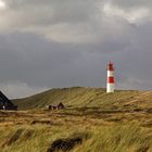 Sylt am Ellenbogen