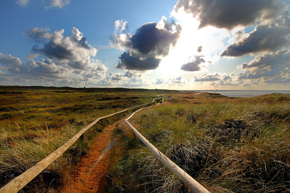 Sylt: Am Morsumer Kliff