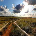 Sylt: Am Morsumer Kliff