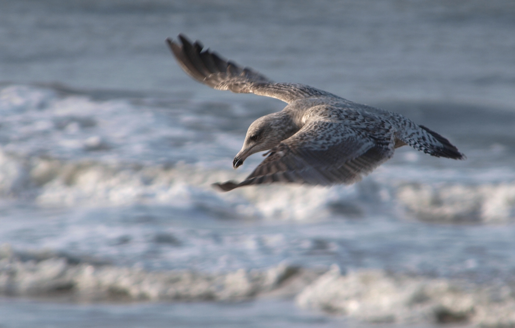 sylt am strand