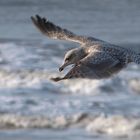 sylt am strand