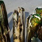 Sylt am Strand  .DSC_8392-