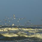 Sylt, am Strand vom Klappholttal