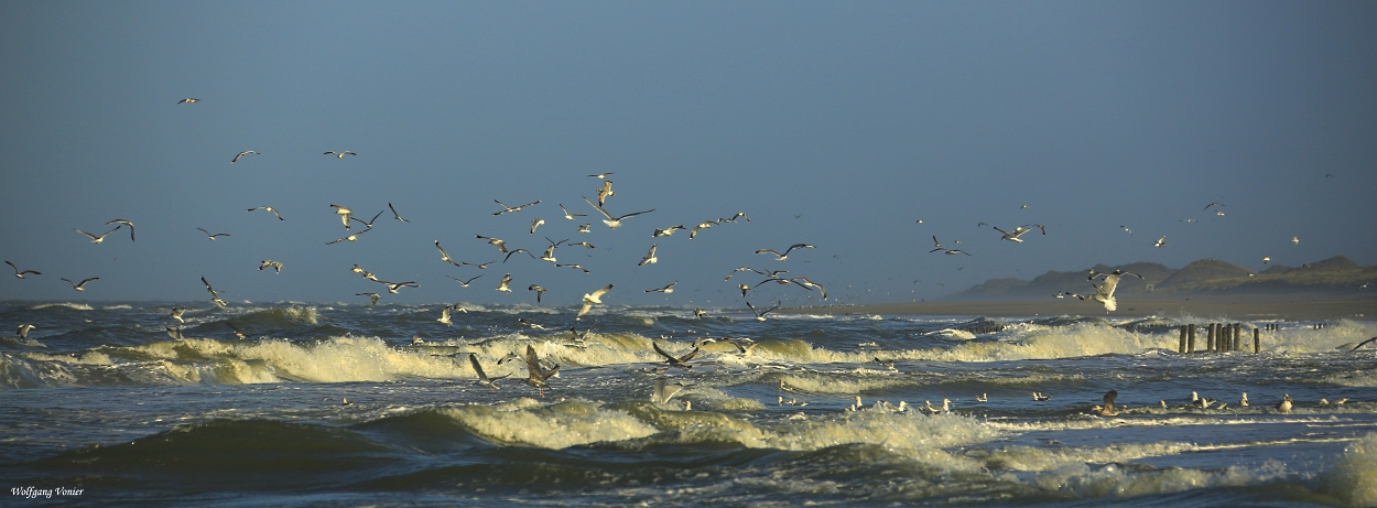 Sylt, am Strand vom Klappholttal