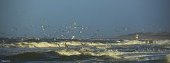 Sylt, am Strand vom Klappholttal