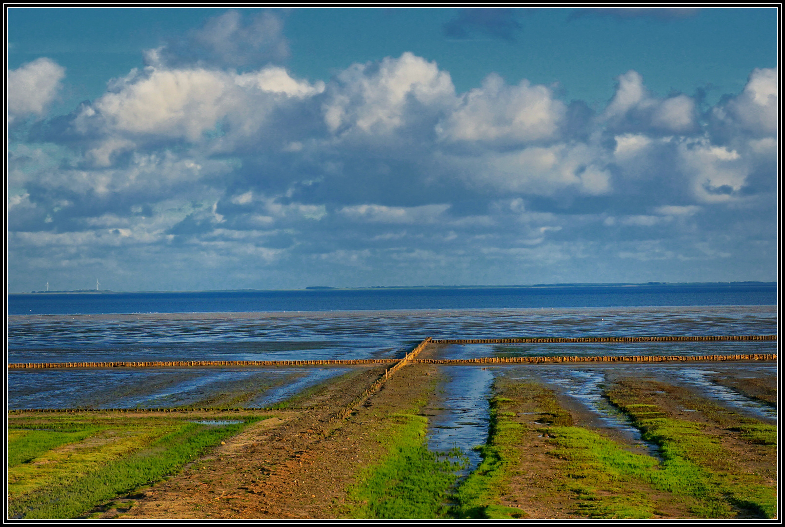 Sylt - Am Wattenmeer bei Morsum