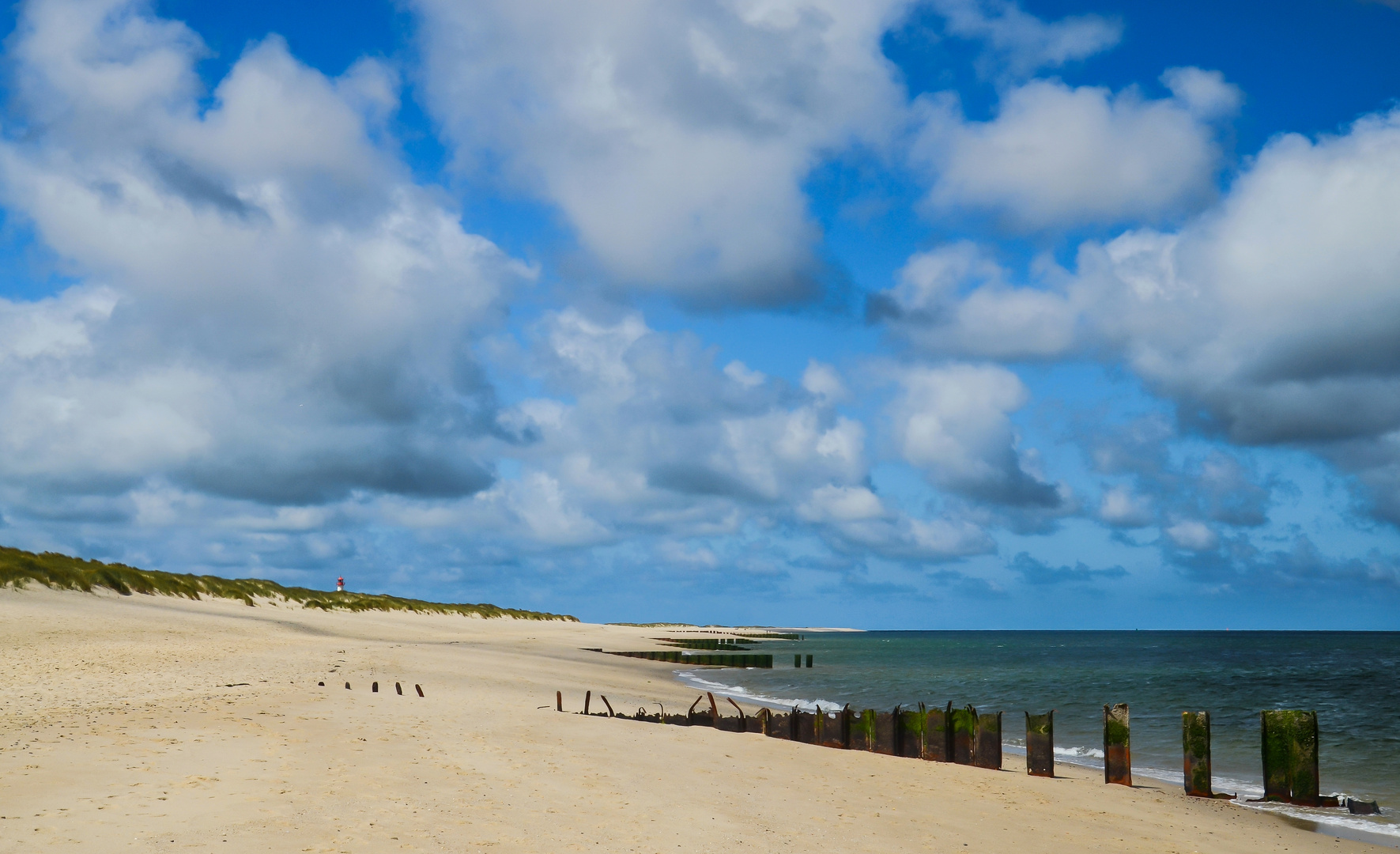 Sylt auf dem Ellenbogen