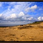 Sylt August 2007 Morsumerkliff 1