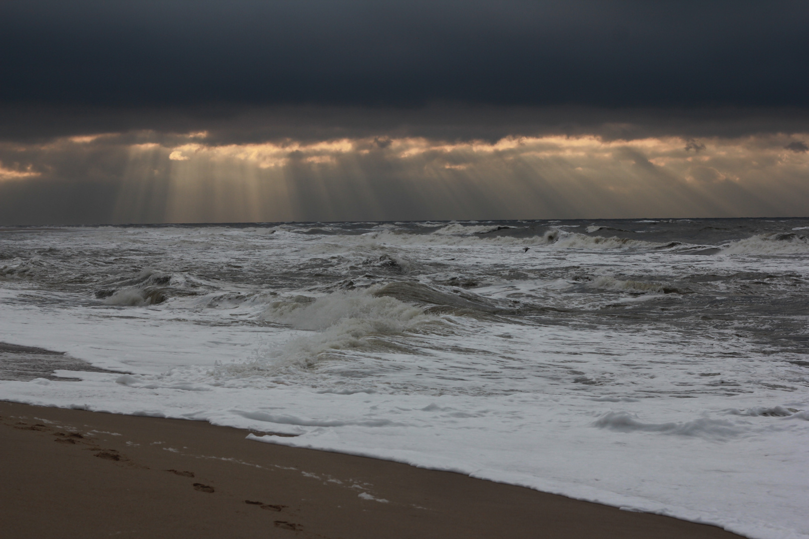 Sylt