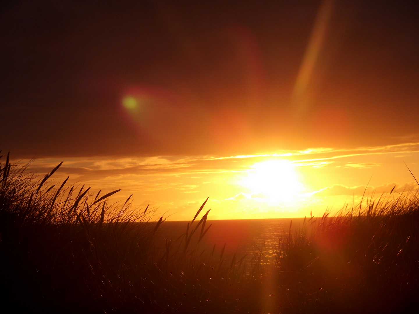 Sylt.