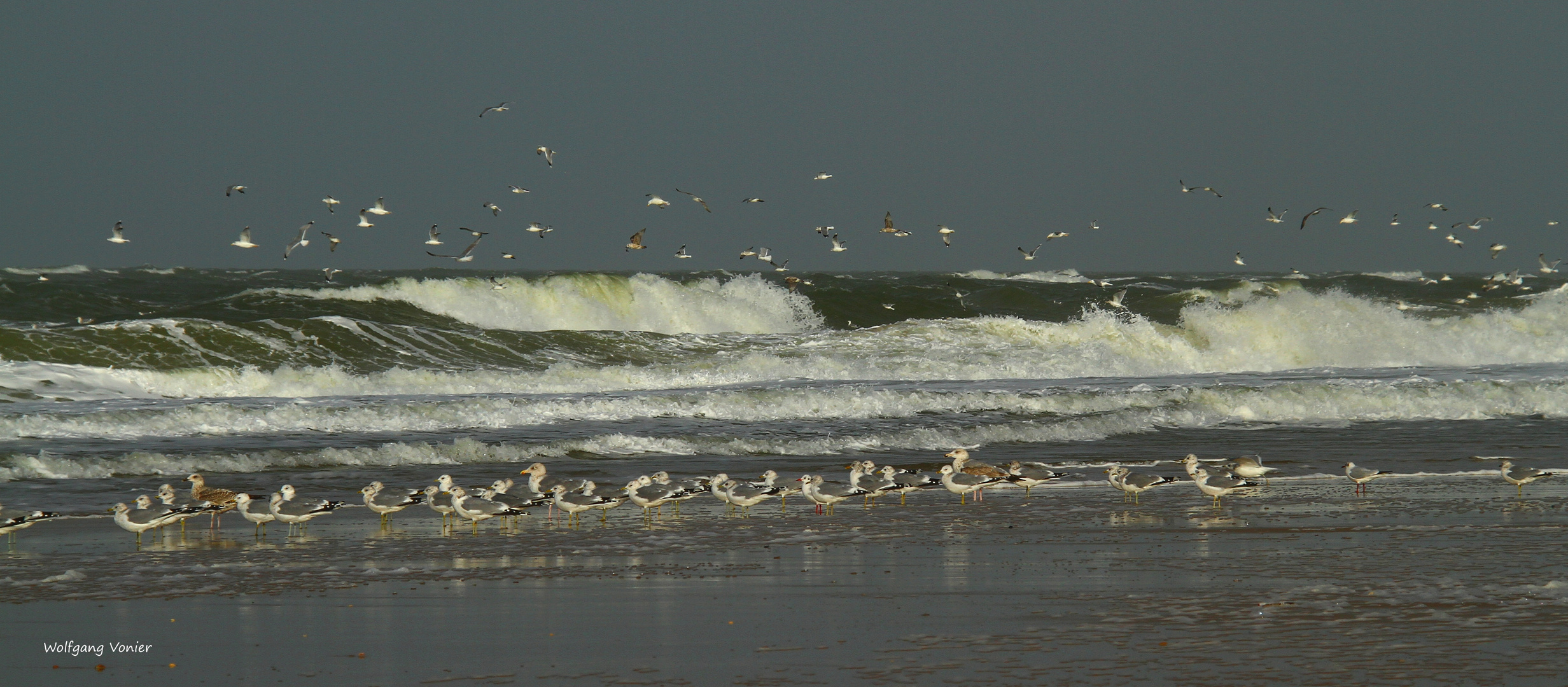 Sylt bei stürmische See