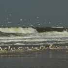 Sylt bei stürmische See