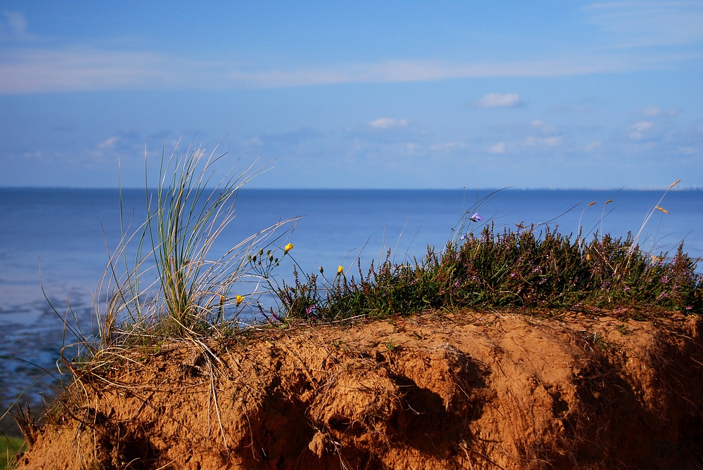 Sylt – Blick vom Morsumer Kliff