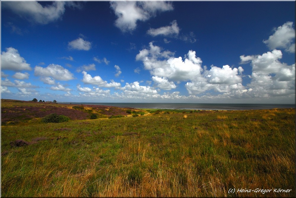 Sylt Braderuper Heide