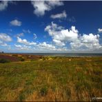 Sylt Braderuper Heide