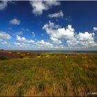 Sylt Braderuper Heide