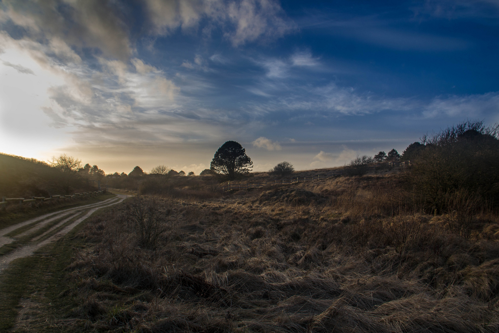 Sylt, Braderuper Heide