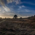 Sylt, Braderuper Heide