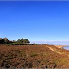 Sylt-Braderuper Heide