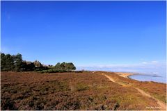 Sylt-Braderuper Heide