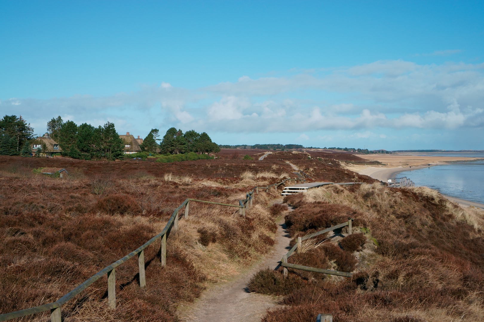 SYLT - BRADERUPER HEIDE -FEBRUAR 2016