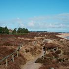 SYLT - BRADERUPER HEIDE -FEBRUAR 2016