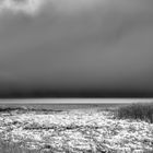 Sylt - Braderuper Heide - Watt #bw