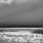 Sylt - Braderuper Heide - Watt #bw