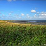 Sylt Braderuper Heide Watt Nilufer Moses ?