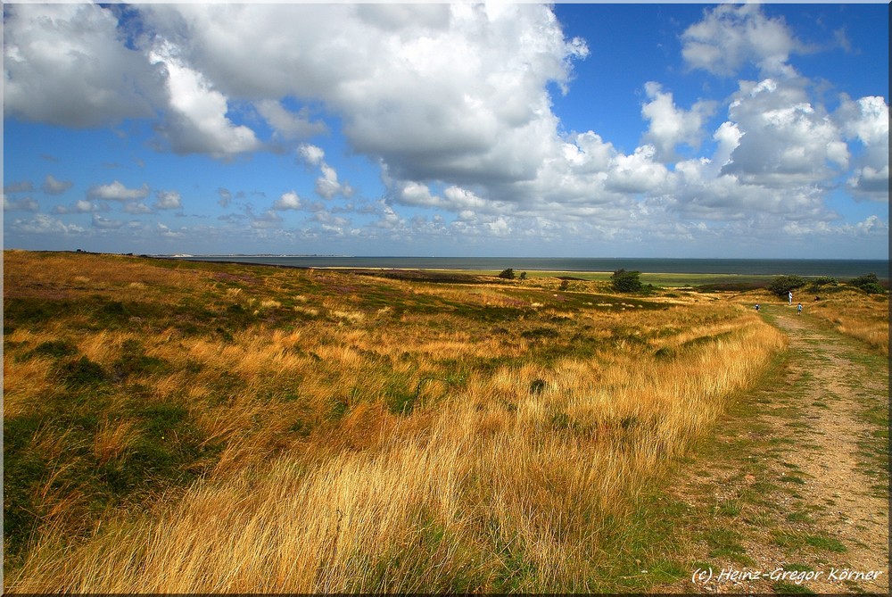 Sylt Braderuper Heidelandschaft