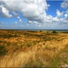 Sylt Braderuper Heidelandschaft