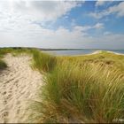 Sylt Brut- und Rastgebiet