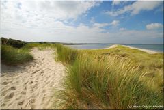 Sylt Brut- und Rastgebiet