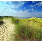 Sylt Brut- und Rastgebiet (überarbeitet)