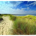 Sylt Brut- und Rastgebiet (überarbeitet)