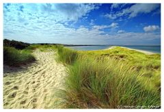 Sylt Brut- und Rastgebiet (überarbeitet)