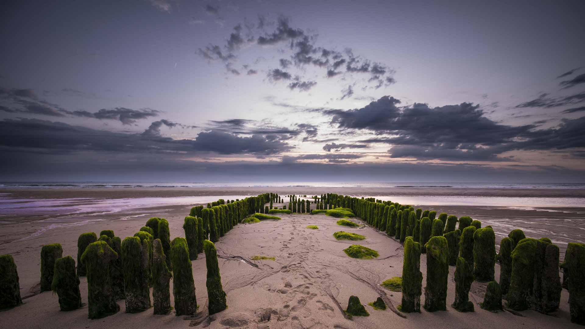 Sylt Buhnen