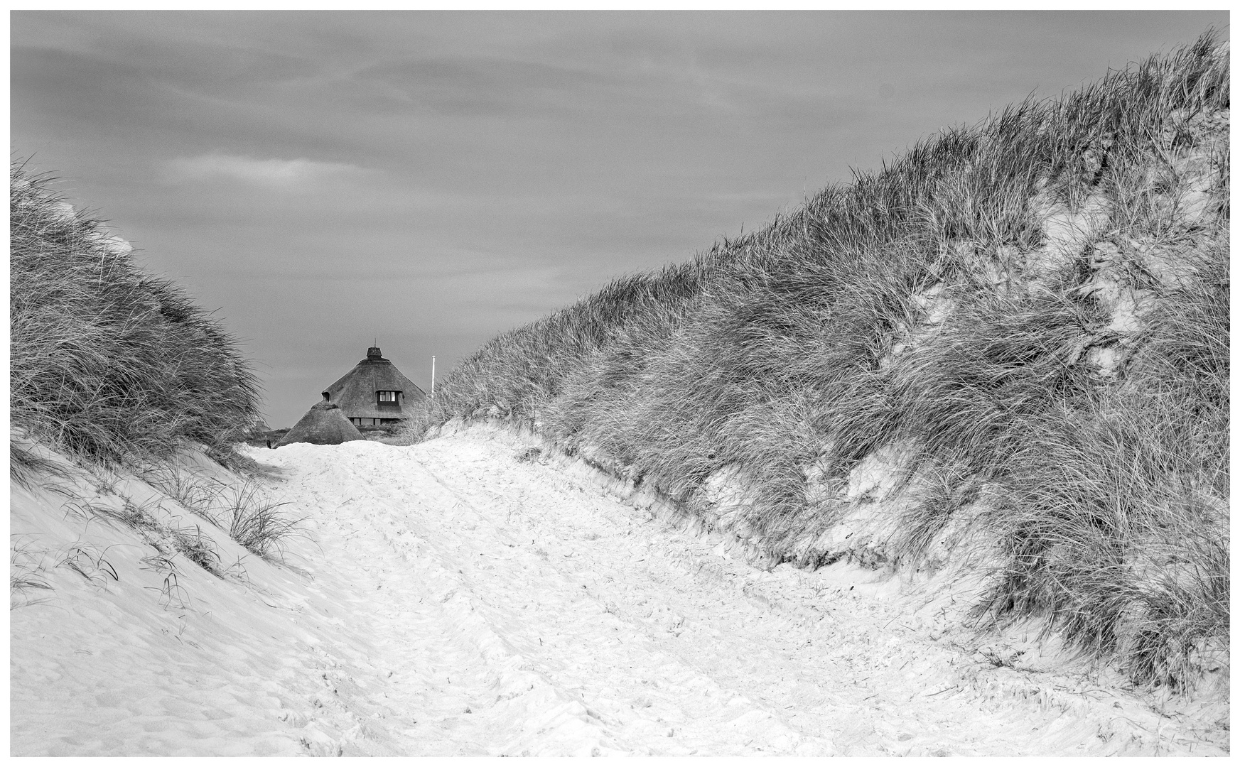 Sylt