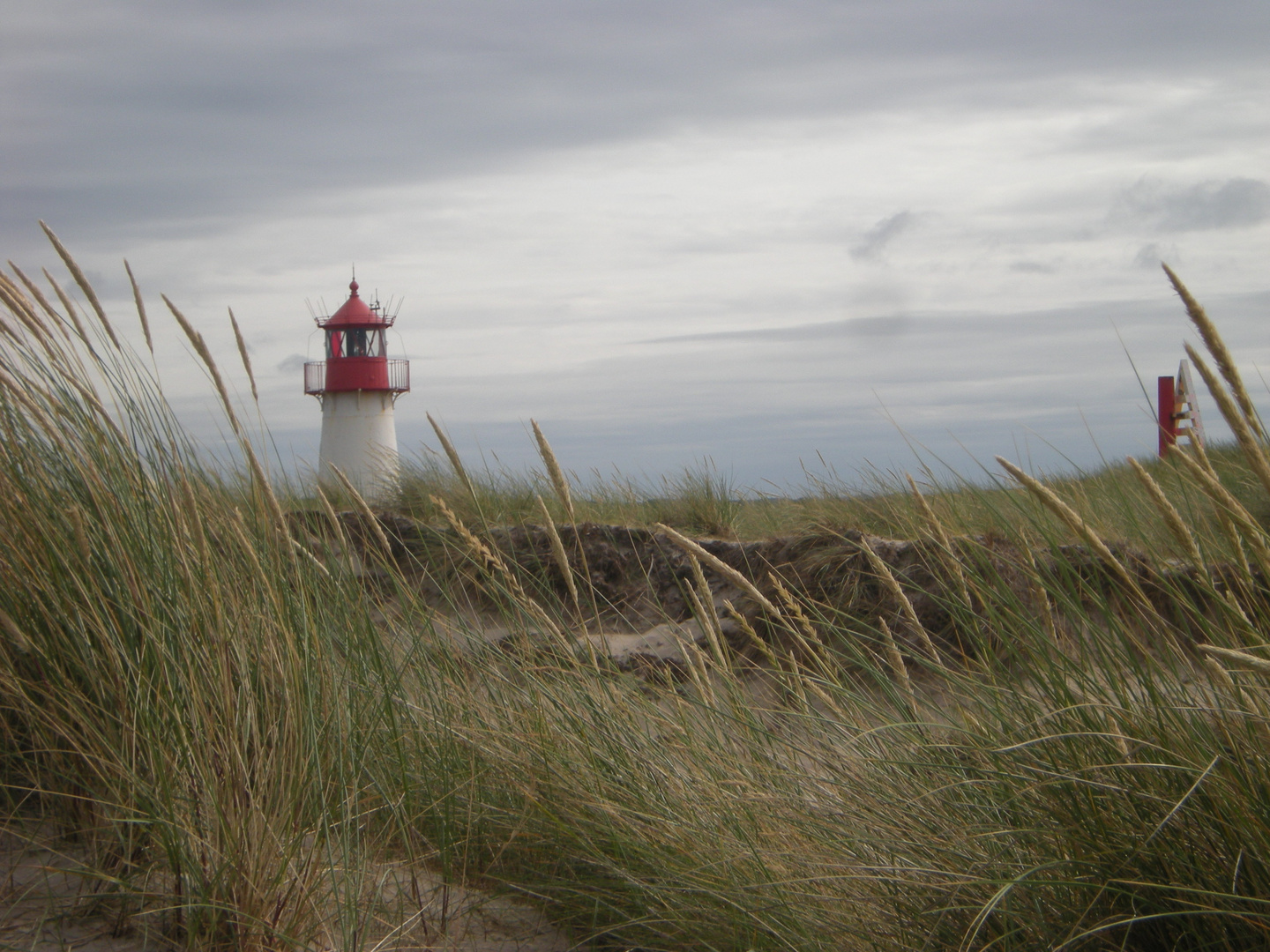 Sylt