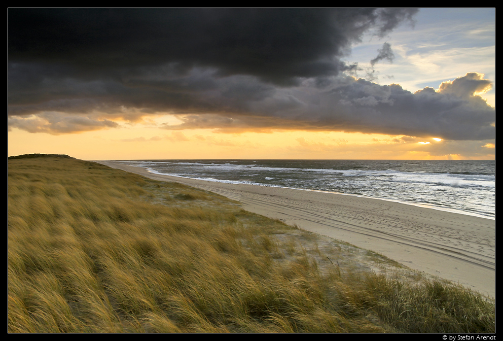 Sylt