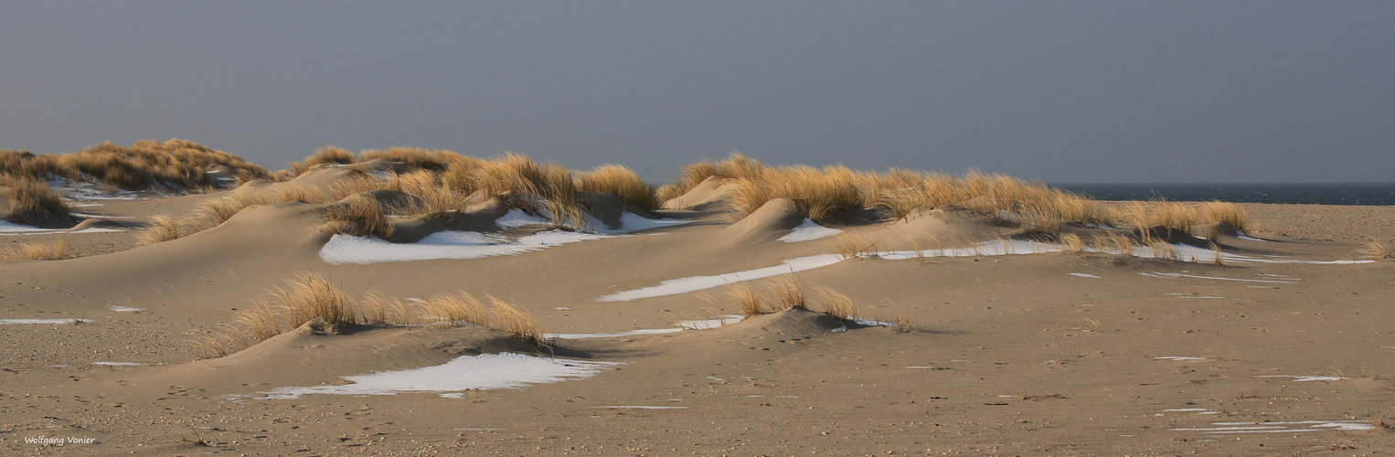 Sylt