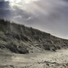 Sylt