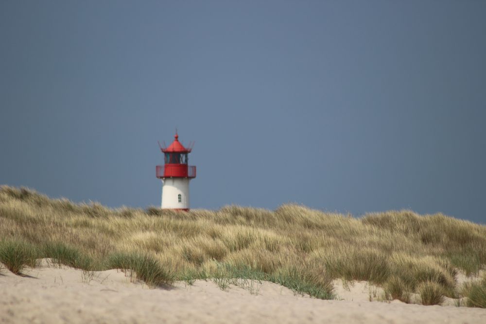 Sylt