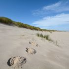 Sylt: Deine Spuren im Sand ... Ellenbogen im August 2014