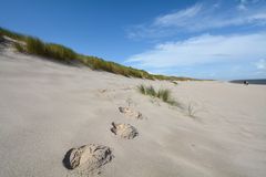Sylt: Deine Spuren im Sand ... Ellenbogen im August 2014