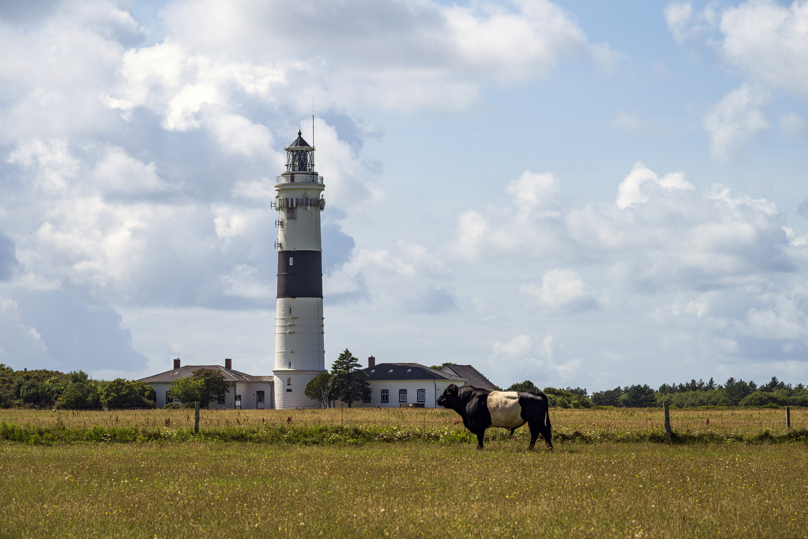 Sylt, der Bulle und der Leuchtturm...
