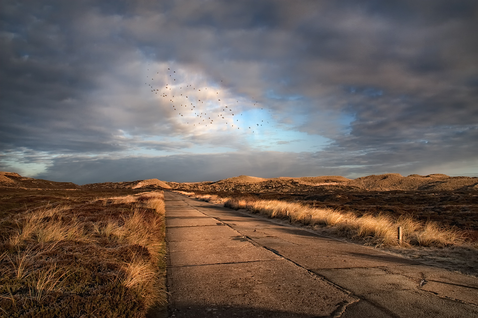 SYLT - Der Weg