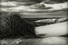 Sylt - Die Düne