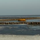 Sylt - die Wattseite bei Keitum