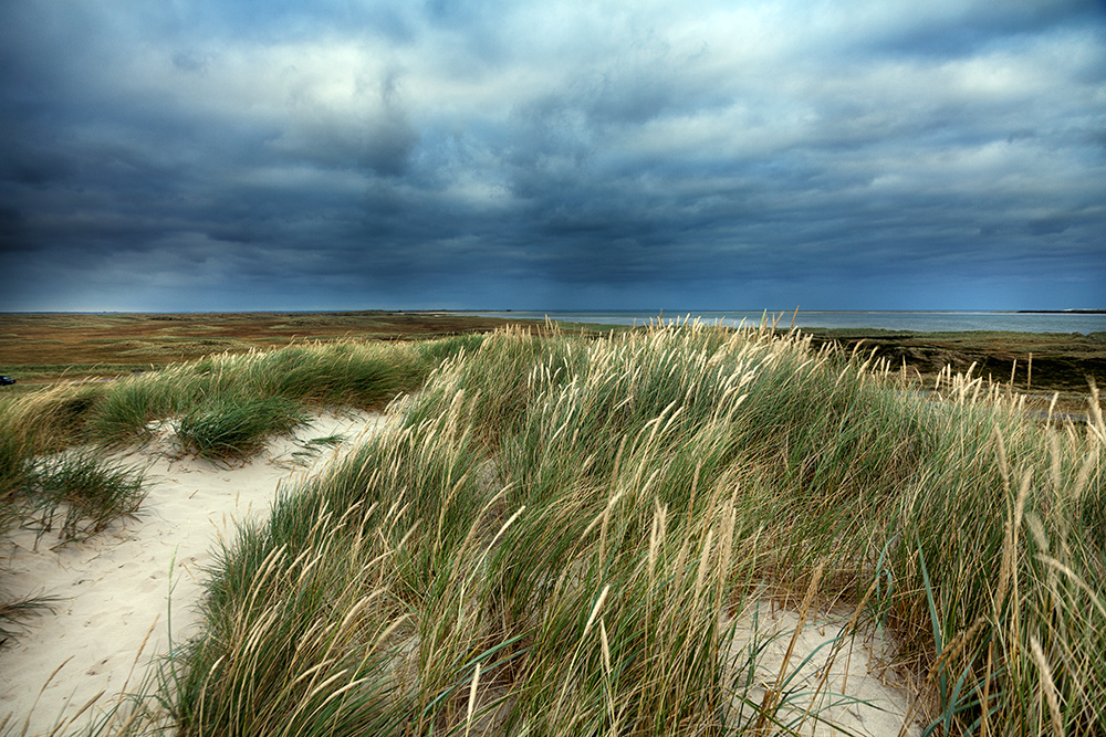 SYLT - Die Weite am Ellenbogen